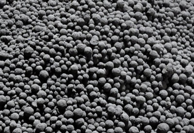 Pelletized ash prior to conveying to a rotary kiln.